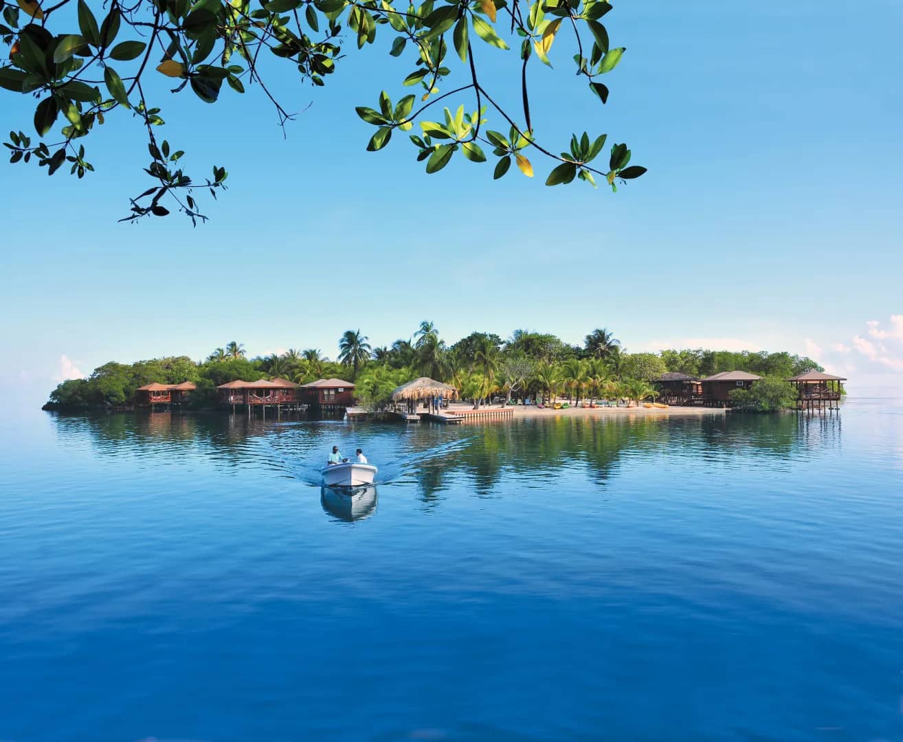 Deals & Special Offers