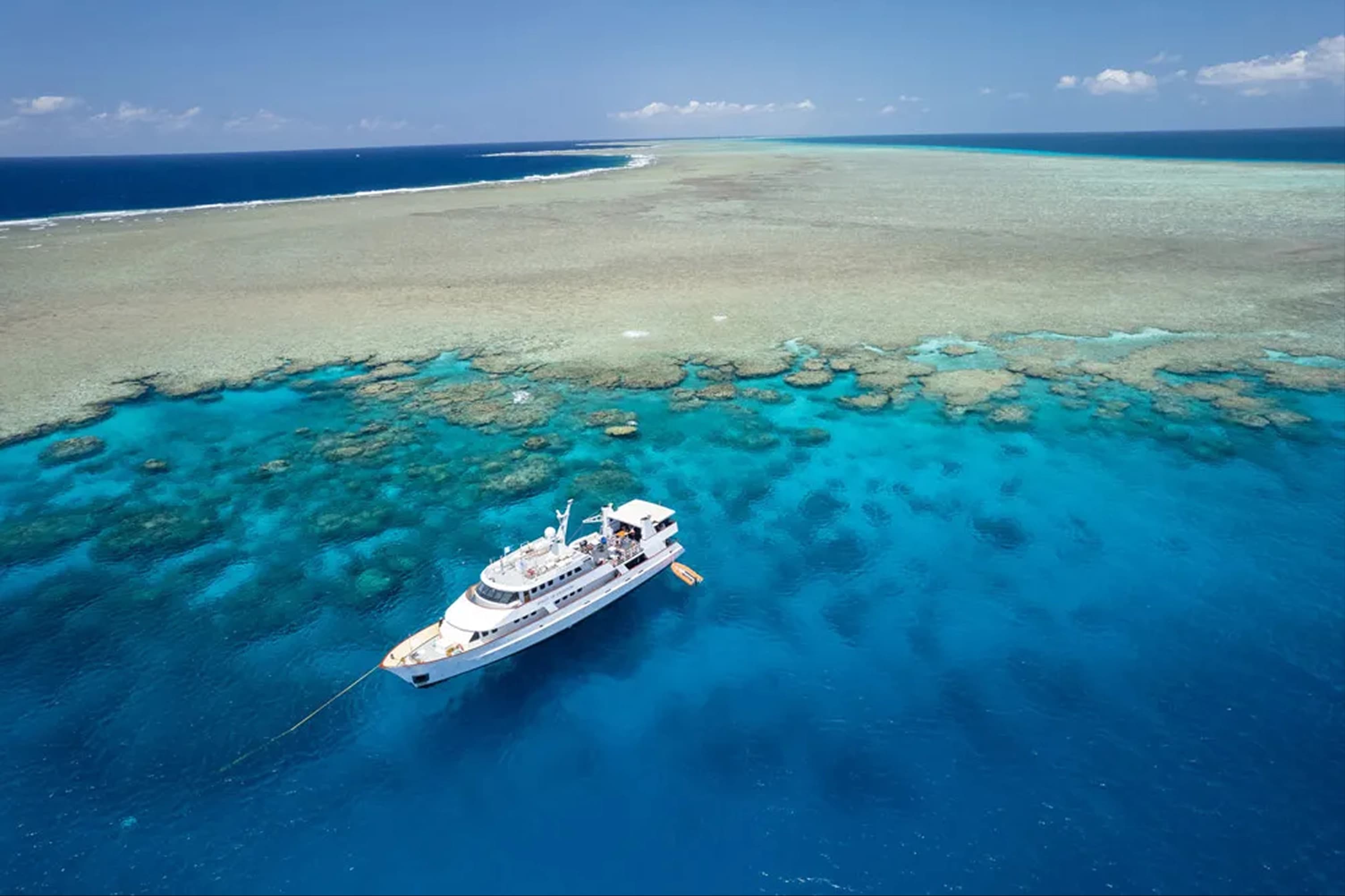 All Liveaboards - image