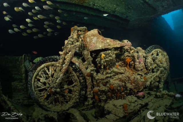 Red Sea 2025 Trip Recap