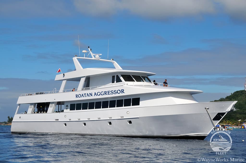 Roatan Aggressor - image