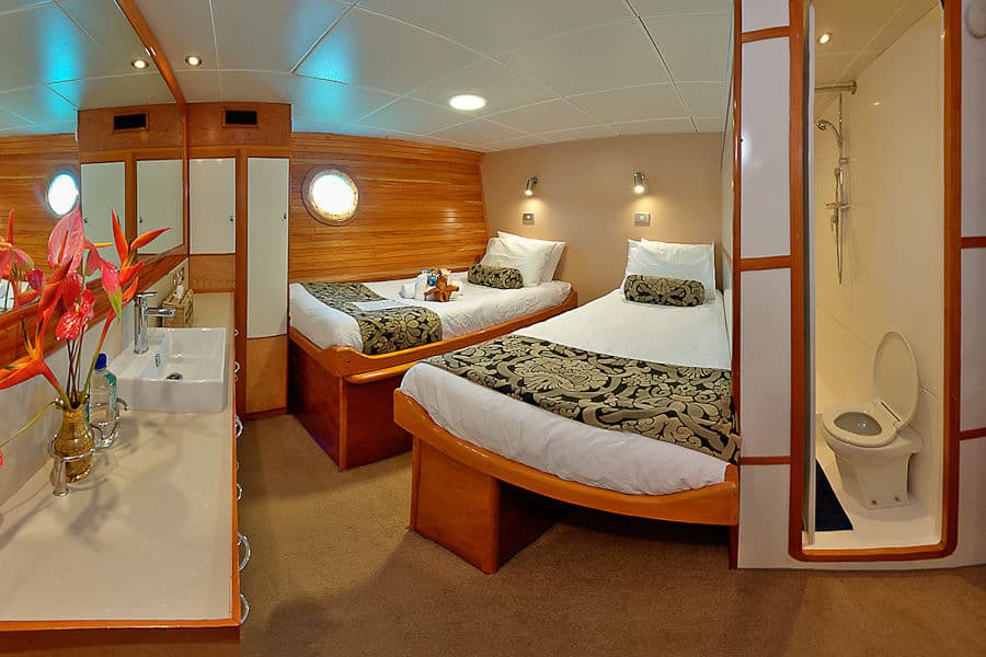Twin Cabin Lower Deck - image