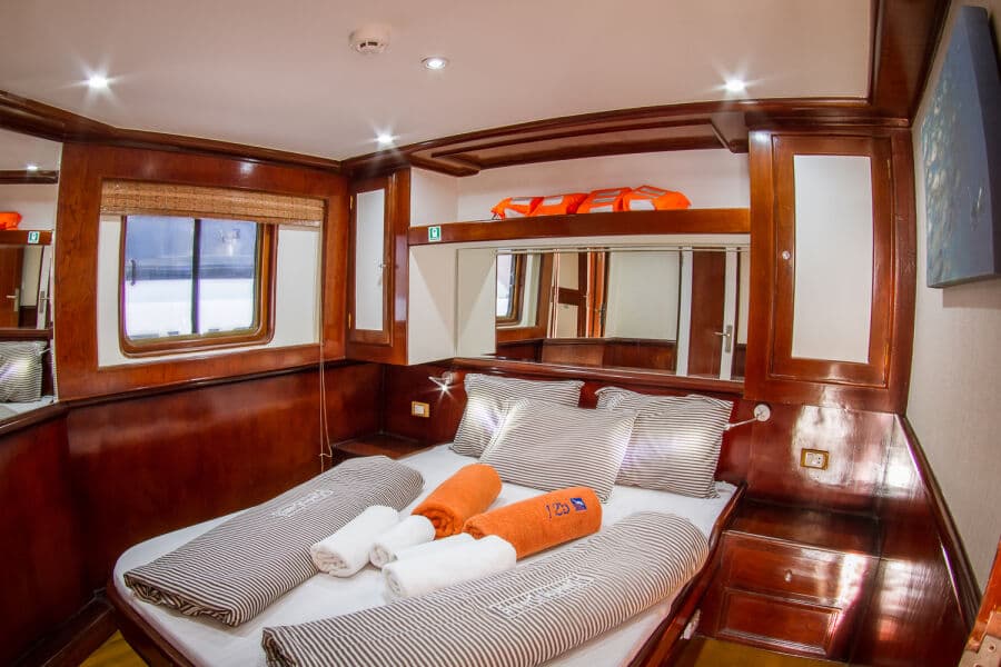 Double Upper Deck - image