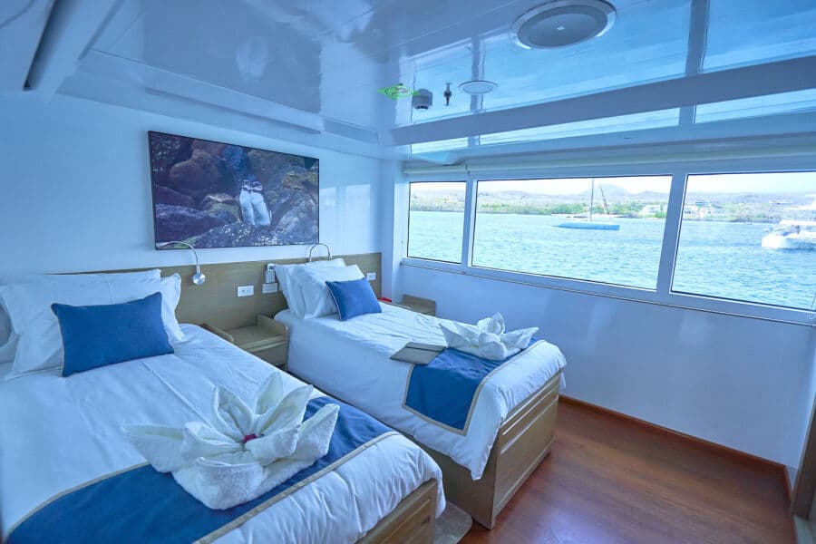 Double Main Deck - image