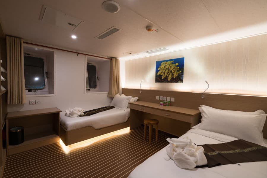 Stateroom Lower Deck - image