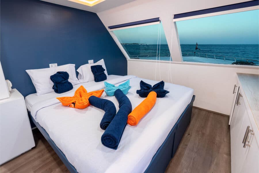 Deluxe Upper Deck - image