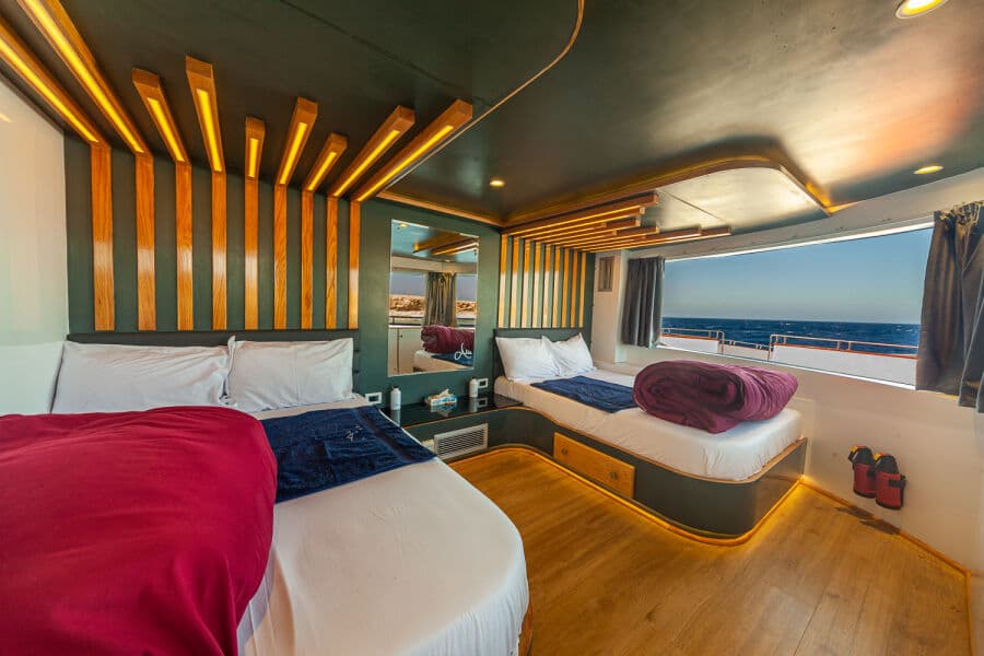 Deluxe Upper Deck - image