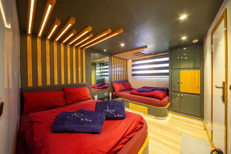 Standard Main Deck - image