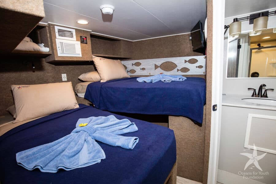 Deluxe Stateroom Lower Deck - image