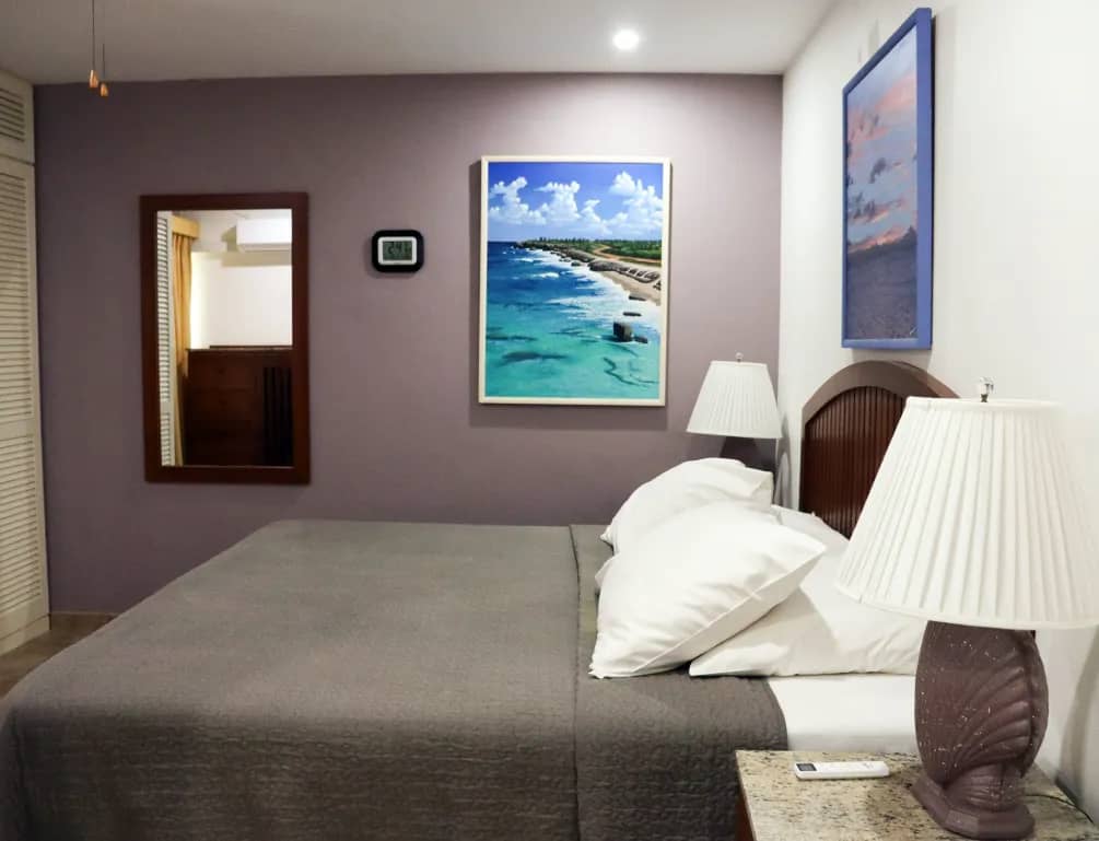 Classic Superior - image Classic Superior - image