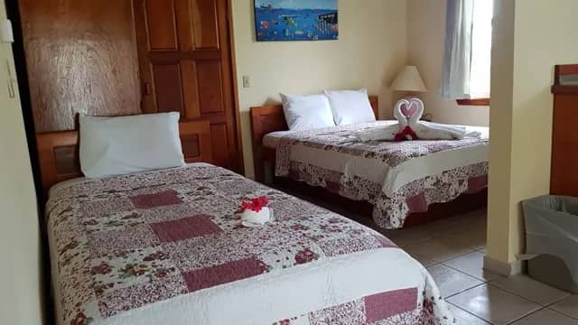 Coconut - image Coconut - image