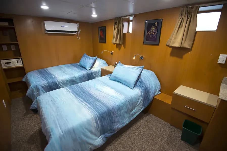 Single Stateroom - image Single Stateroom - image
