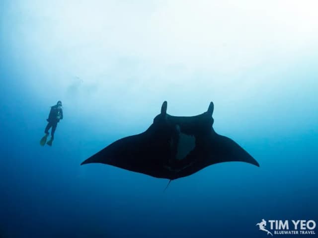 Eco Socorro Recap Dec 2019 Eco Socorro Recap Dec 2019