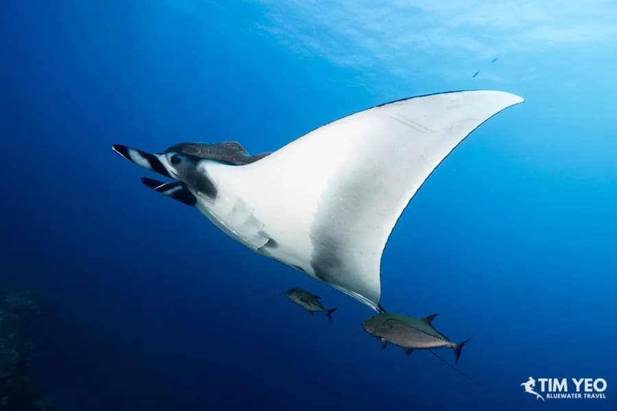 Eco Socorro May 2021 Recap - image Eco Socorro May 2021 Recap - image