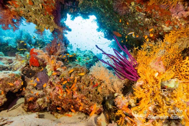 Egypt & Jordan Trip Recap 2023 Egypt & Jordan Trip Recap 2023