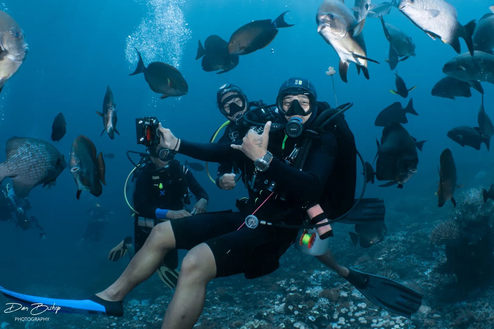 Raja Ampat vs Komodo - image Raja Ampat vs Komodo - image