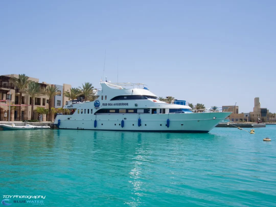 Liveaboards in Egypt (Red Sea) - image Liveaboards in Egypt (Red Sea) - image