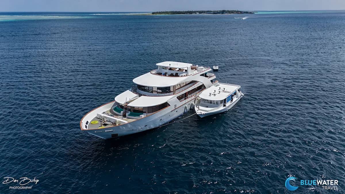 Liveaboard Seasickness Survival Guide Liveaboard Seasickness Survival Guide