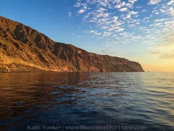 Best Scuba Diving in Guadalupe Island - image Best Scuba Diving in Guadalupe Island - image
