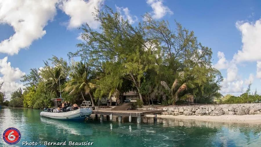 Carousel - image Carousel - image