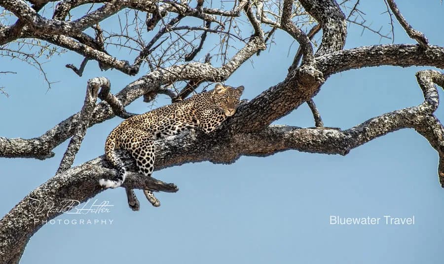 No alternative text provided No alternative text provided