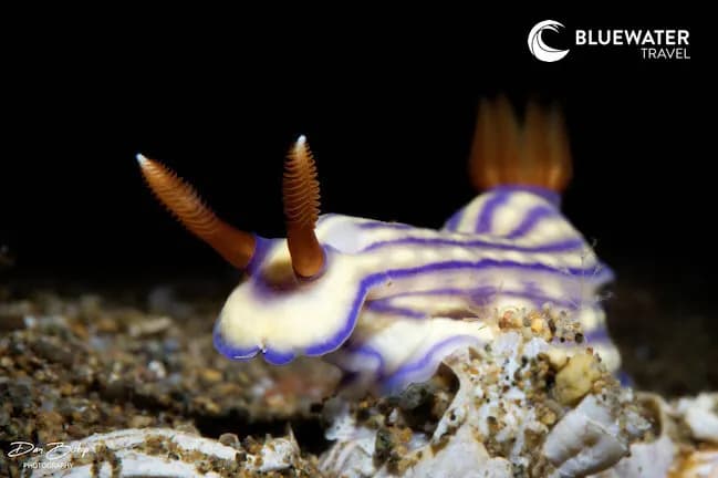 Carousel - image Carousel - image