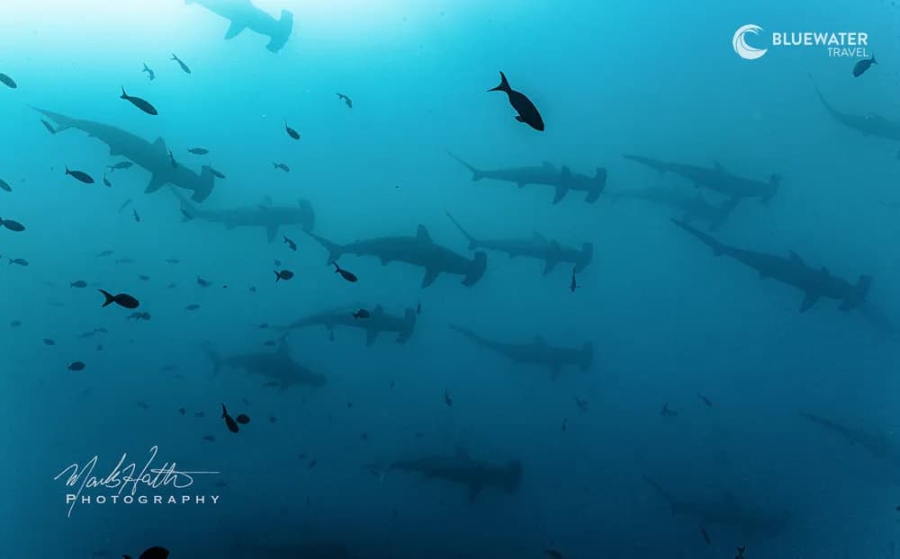 Carousel - image Carousel - image