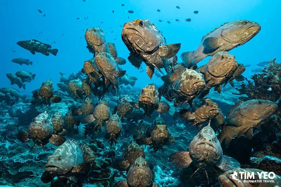 Carousel - image Carousel - image