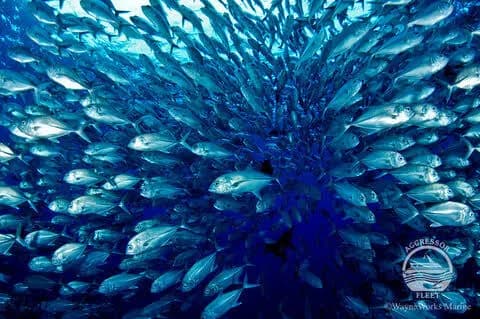 No alternative text provided No alternative text provided