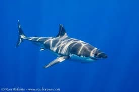 No alternative text provided No alternative text provided