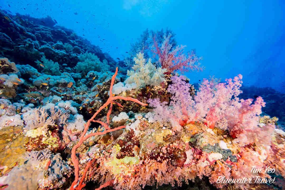 No alternative text provided No alternative text provided