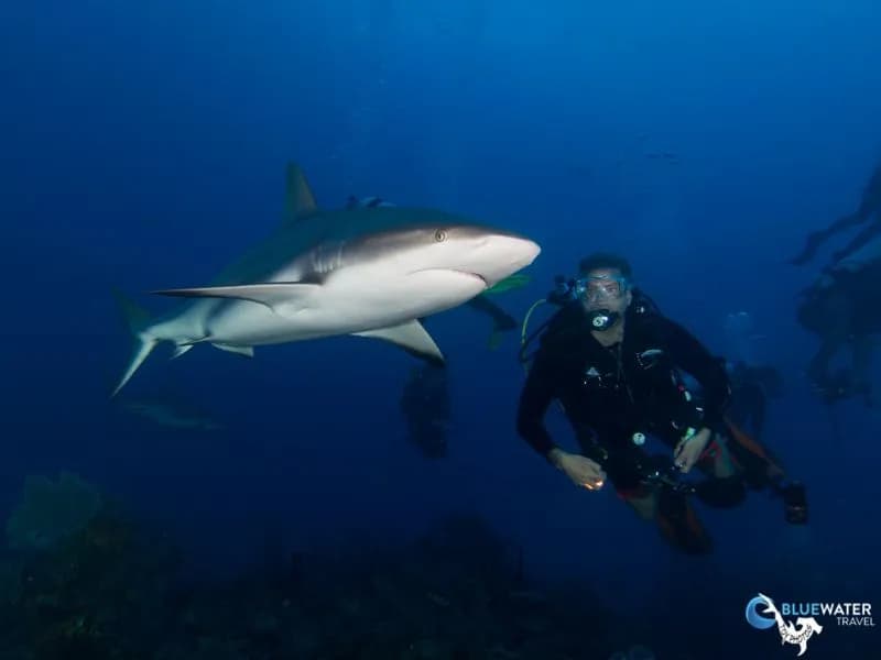 Cuba - image Cuba - image