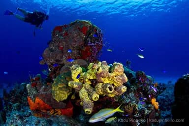 No alternative text provided No alternative text provided