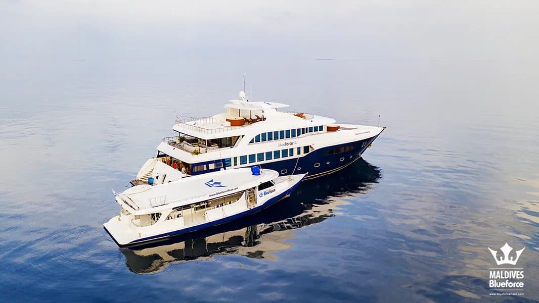 Maldives Blue Force One - image Maldives Blue Force One - image