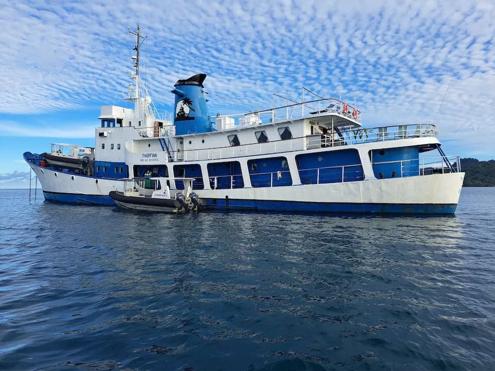 Thorfinn - image Thorfinn - image