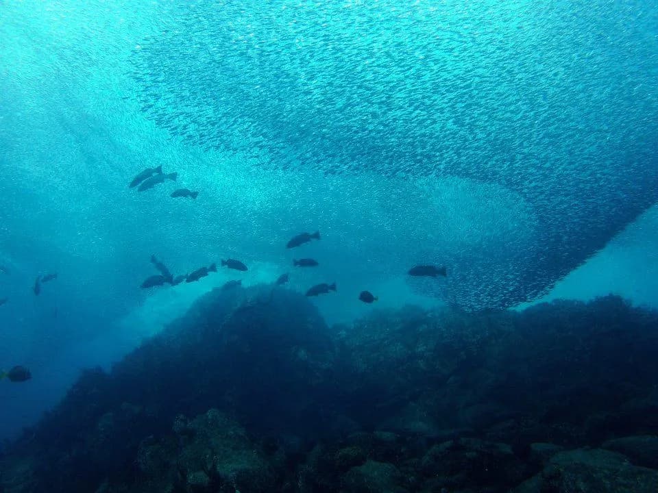 No alternative text provided No alternative text provided