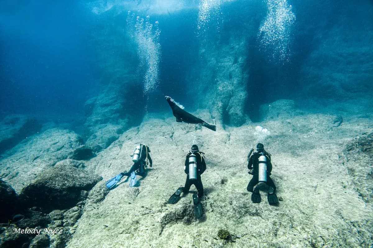 No alternative text provided No alternative text provided