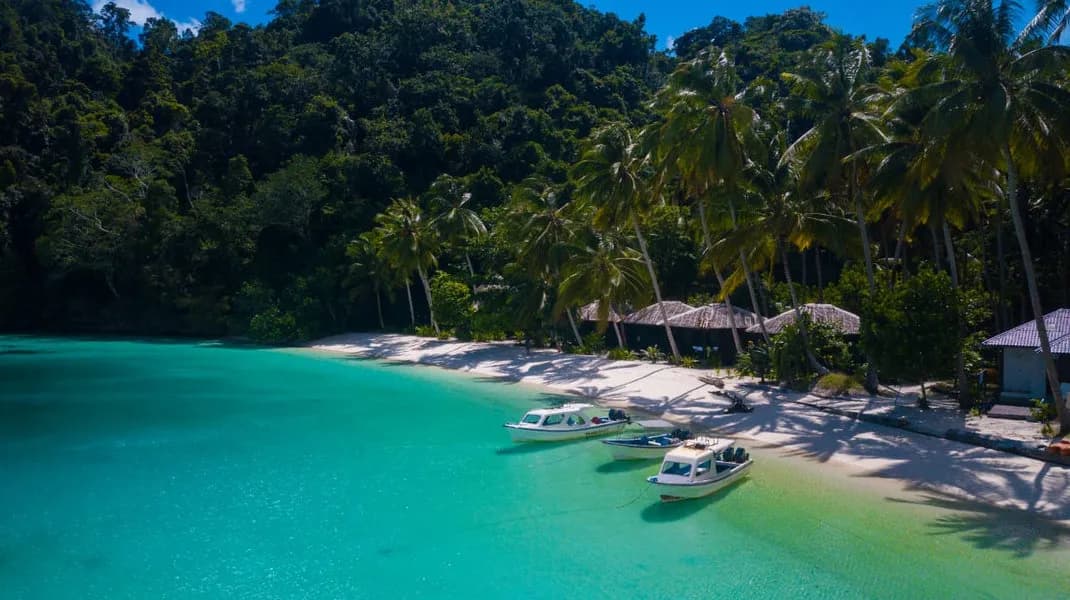 Triton Bay Divers - image Triton Bay Divers - image