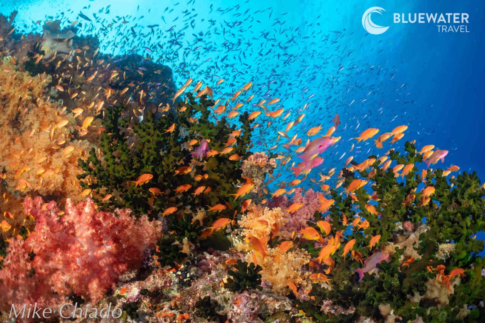 No alternative text provided No alternative text provided