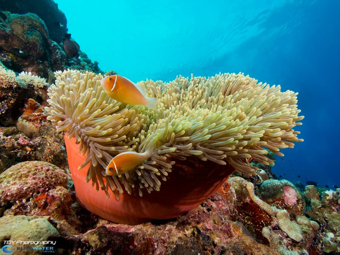 No alternative text provided No alternative text provided