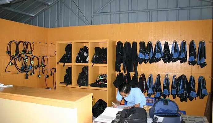 Dive gear lined up Dive gear lined up