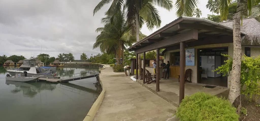 koro-sun-dive-4life-1.jpg koro-sun-dive-4life-1.jpg