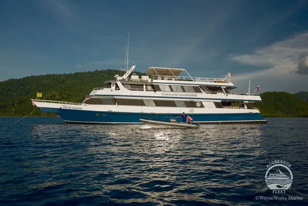 No alternative text provided No alternative text provided