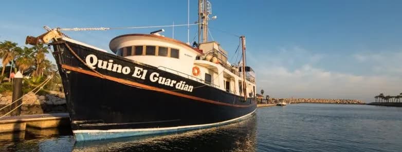 No alternative text provided No alternative text provided