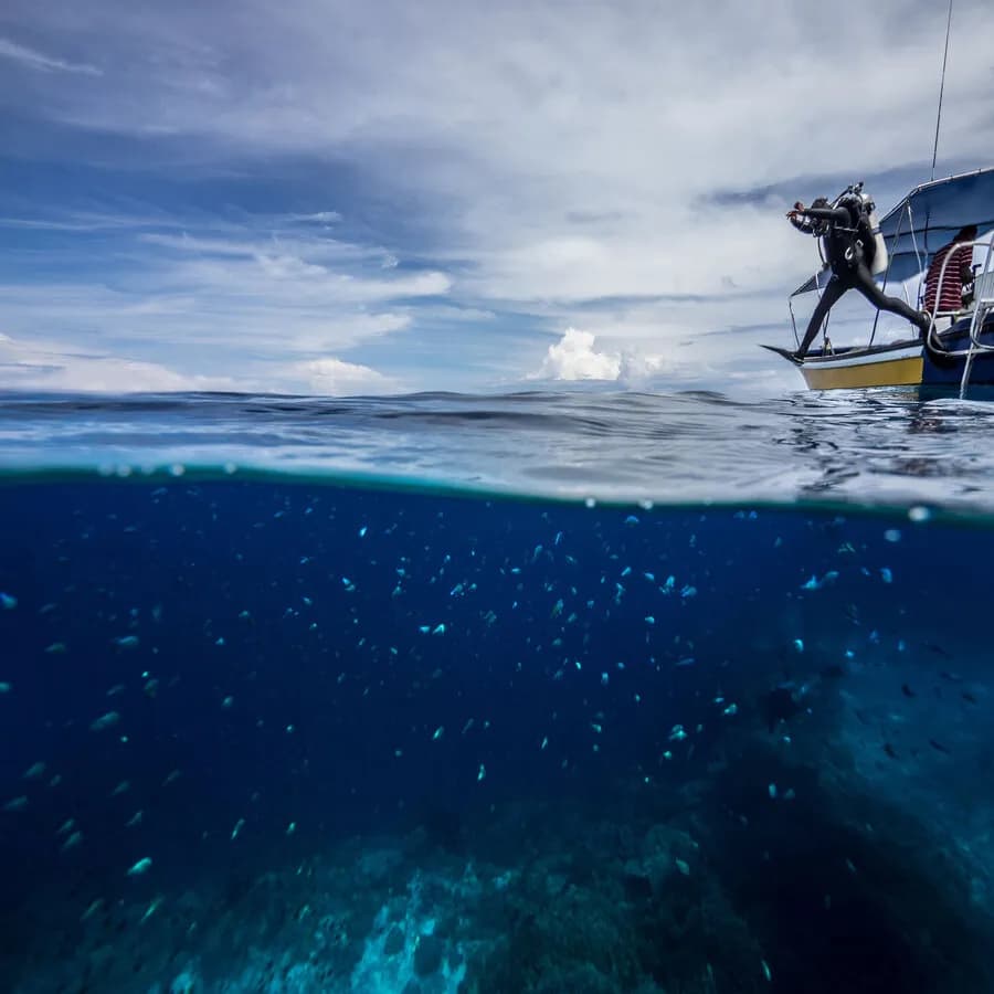 No alternative text provided No alternative text provided