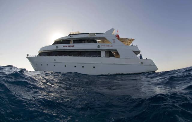 Sunshine Special July 2025 Sunshine Special July 2025