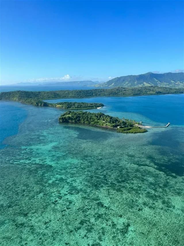 Dolphin Island Special August 2025 Dolphin Island Special August 2025