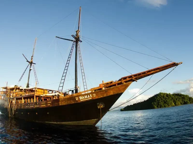 Carousel - image Carousel - image