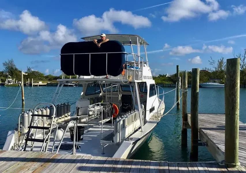 Carousel - image Carousel - image