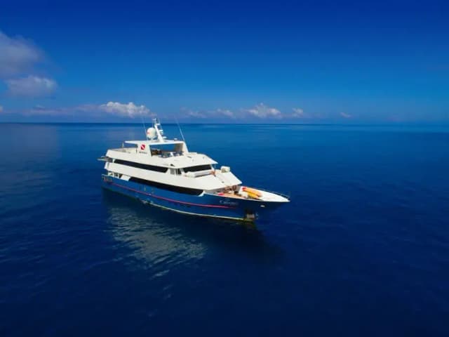 Calipso Liveaboard Special September 2025 Calipso Liveaboard Special September 2025