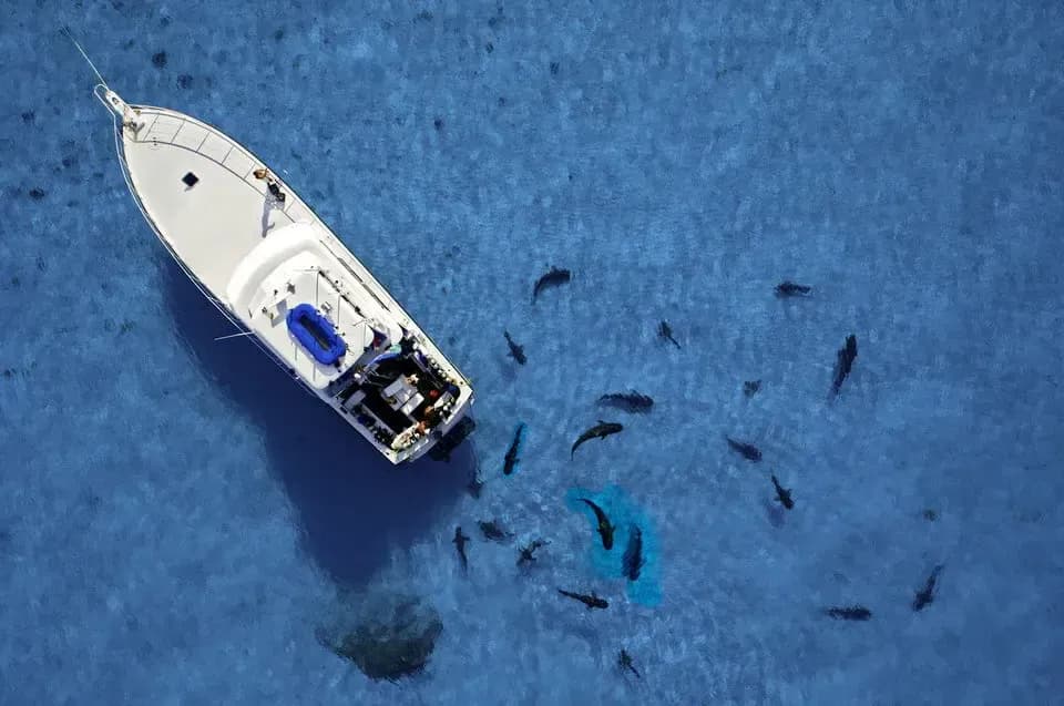 Carousel - image Carousel - image